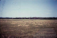 FGM1913 La Pesca,Tamaulipas.JPG