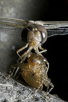 msicilia_MG_6661.jpg