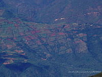 OOG0200 Oaxaca, México.jpg