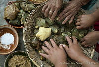 ARS00114 Zea mays.jpg