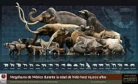 Cartel-Era-del-Hielo.jpg