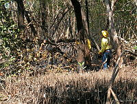 CONANP GR006 0005 Sabancuy Carmen, Campeche.jpg