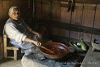 ARS00274 Zacán, Michoacán.jpg