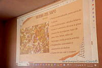 0Q0A8145 Taller de plantas medicinales.jpg