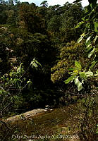 FBA1298 Paisaje em San Agustín Loxicha.jpg