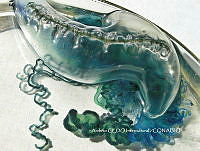 NBA0055 Physalia physalis.JPG