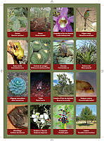 planilla7.pdf