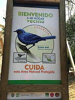 IMG-20200404-WA0028.jpg