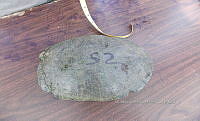 NE017 227 Dermatemys mawii.jpg