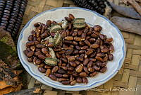 MDL0477 Ricinus communis.jpg