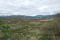 DK0724 Mixteca Baja, Oaxaca.jpg