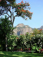 CGL5140 Tepoztlán.jpg