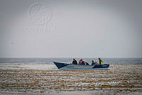 IDG Nat 0024 Pesca.jpg