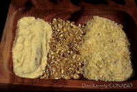 DK0430 Zea mays.jpg
