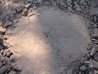 GECI0101 Ensenada, Baja California.jpg