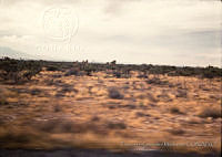 FGM4331 Nuevo León, México.JPG