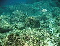 EFBP033 Loreto, Baja California Sur.jpg