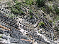 CTEFQ015046 Arteaga, Coahuila.jpg