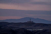 IDG Nat 0026 Isla Navidad.jpg