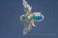 CGVM1218 Paragapostemon coelstinum.jpg