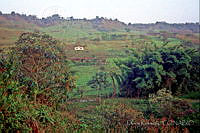 DK0873 Tlapacoya, Puebla.jpg