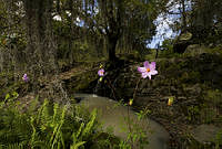 msicilia_MG_8782.jpg