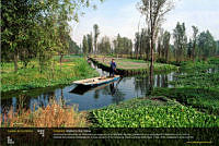 xochimilco.jpg