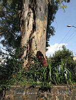 PRB0327 Azcapotzalco, Ciudad de México.jpg