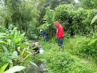 RG055 0097 Colecta.JPG