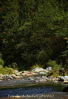 FBA1306 Paisaje em San Agustín Loxicha.jpg