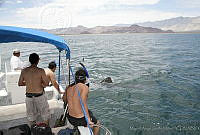 MASM04018 Bahía de los Ángeles, Baja California.jpg