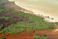 AHSC002 Ría Lagartos, Yucatán (2).jpg