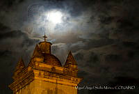 MASM06247 Oaxaca de Juárez, Oaxaca (2).jpg