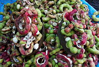 3R 00933 Pithecellobium dulce.jpg