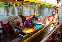 3R 01382 Zea mays.jpg