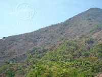 CONANP GR009 0007 Paraje El Molino, Chiapas_.jpg