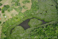 AHSC001 Aldama, Tamaulipas (2).jpg