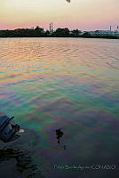 FBA0563 Tabasco, México.jpg