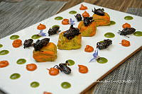 3R00679 Thasus gigas.jpg