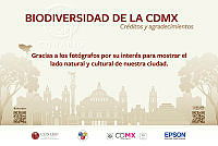 40_placa-zoo-creditos copia.jpg