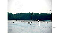 FN005 10 CH 033 Algunas aves.jpg