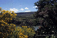 DK2362 Aguascalientes, México.jpg