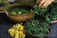 JL0014 Oaxaca.jpg