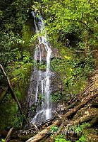 FBA1044 San Miguel Amatlán_07.jpg