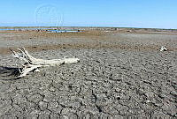 JALB01 Nayarit, México.jpg