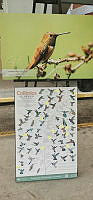 IMG-20240711-WA0039.jpg