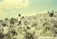 1465 Alchichica, Puebla.jpg