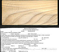 CMyFO 00036 Magnolia schiedeana.JPG