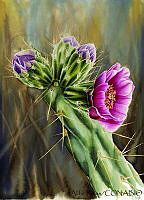 AR0002 Cylindropuntia imbricata.jpg