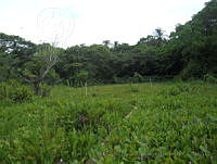 JVB0032 La Mancha, Veracruz.jpg